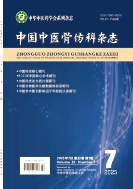 中国中医骨伤科杂志杂志